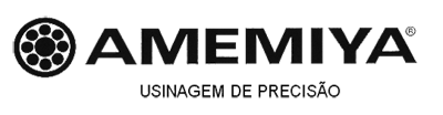 logo Amemiya